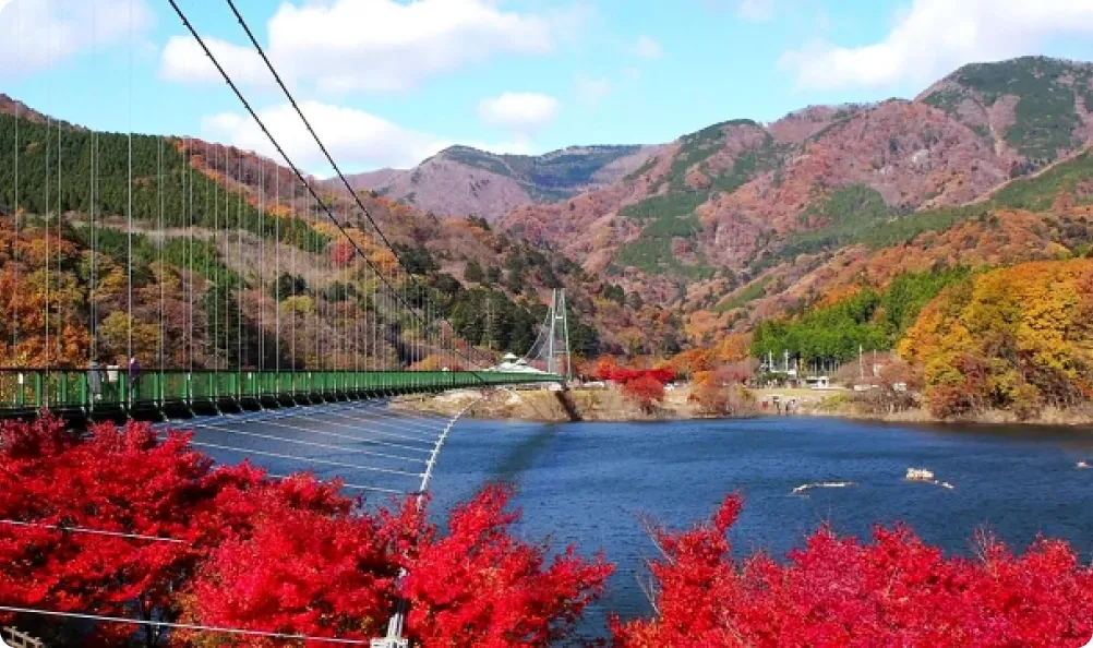 もみじ谷大吊橋と秋の紅葉