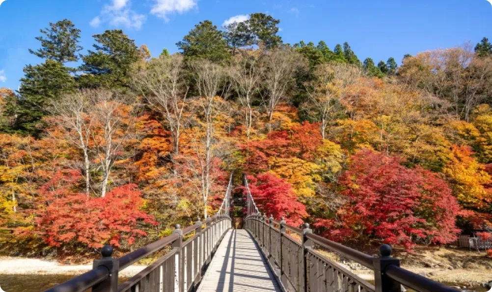 塩原もの語り館と紅の吊橋の紅葉